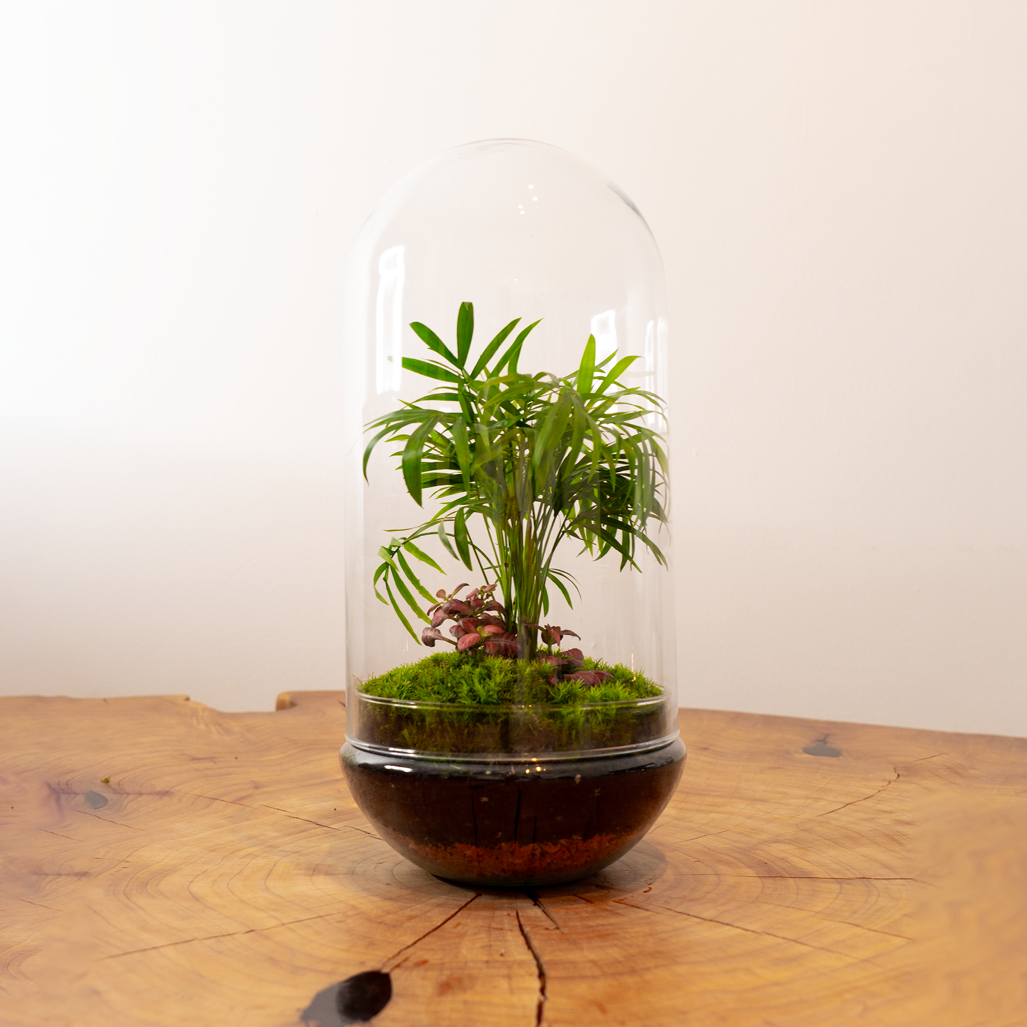 Kit Créalo Tú Mismo Jardín Eterno Guadarrama