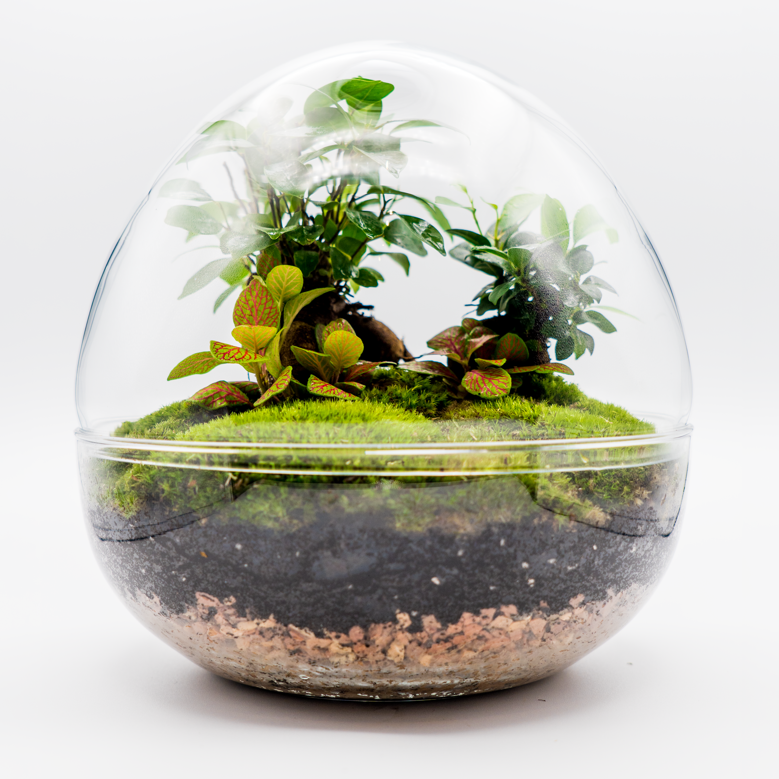 Kit Créalo Tú Mismo Jardín Eterno Nieves