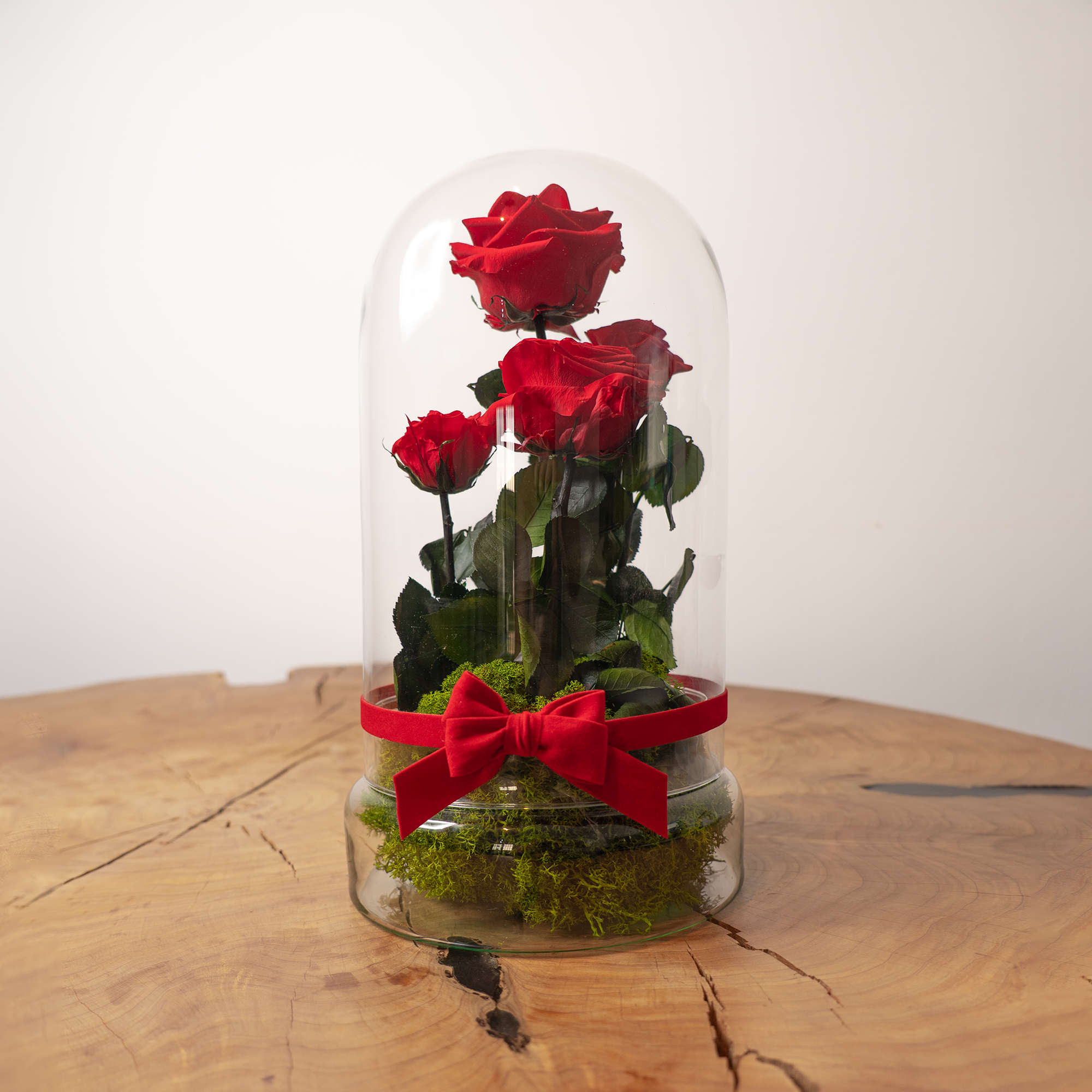 Rosa Eterna Compromiso