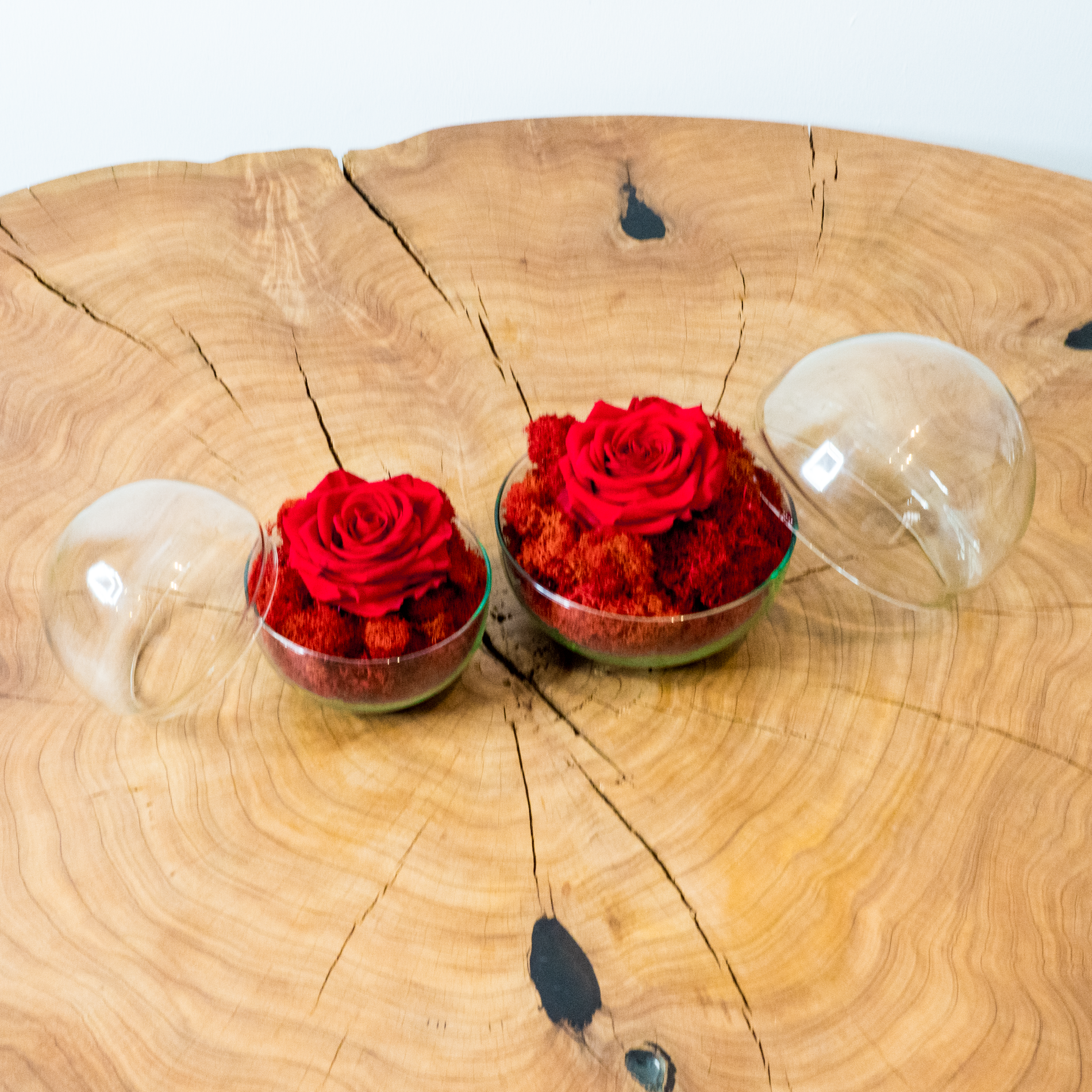 Rosa Eterna Esperanza (Especial Enamorados)