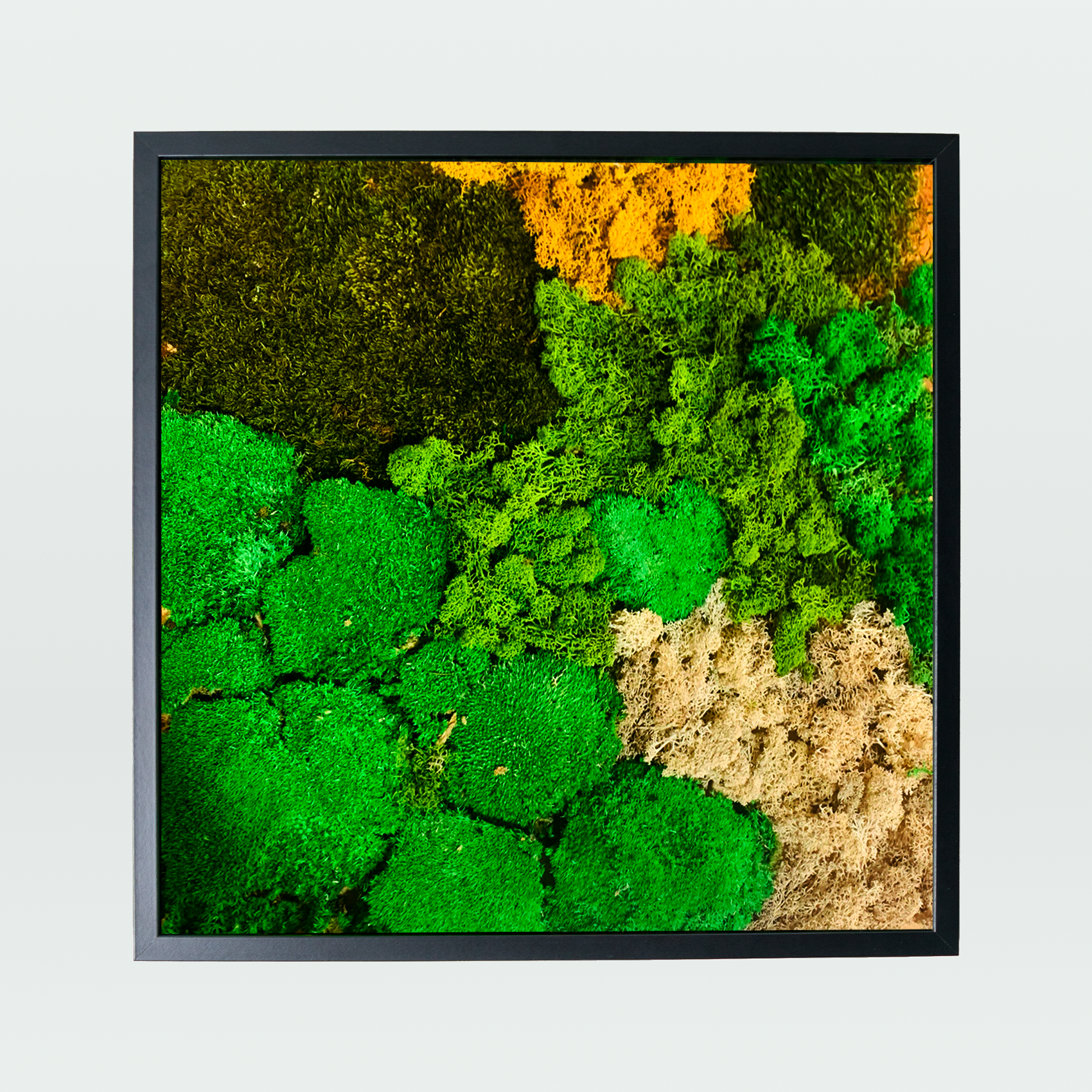 Cuadro Eterno Sierra