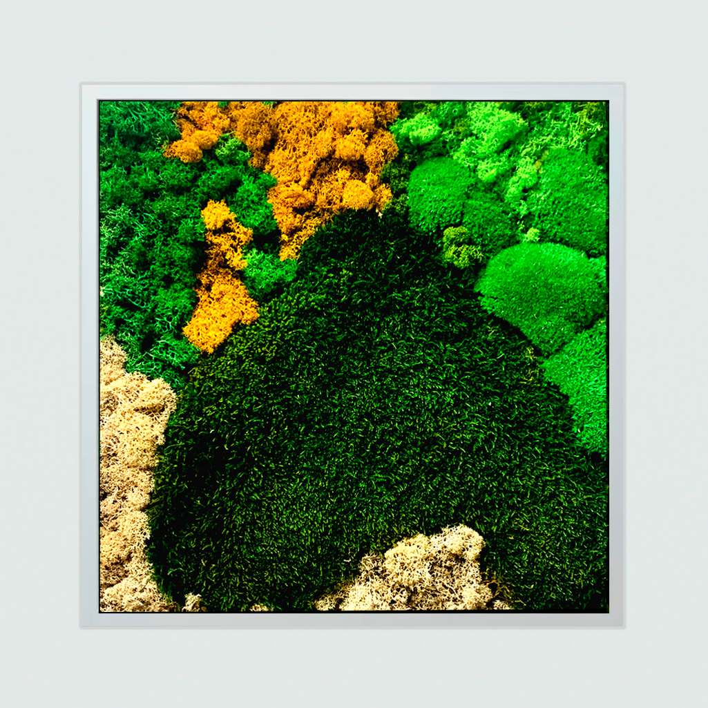 Cuadro Eterno Sierra