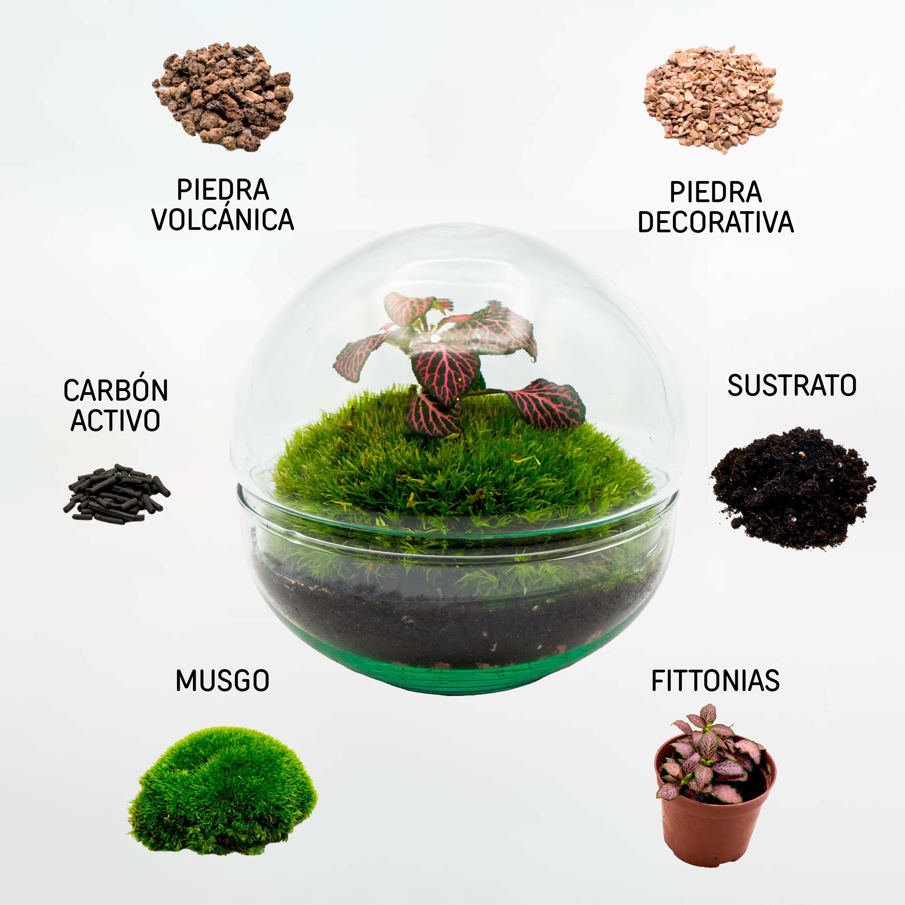 Kit Créalo Tú Mismo Jardín Eterno Nevada