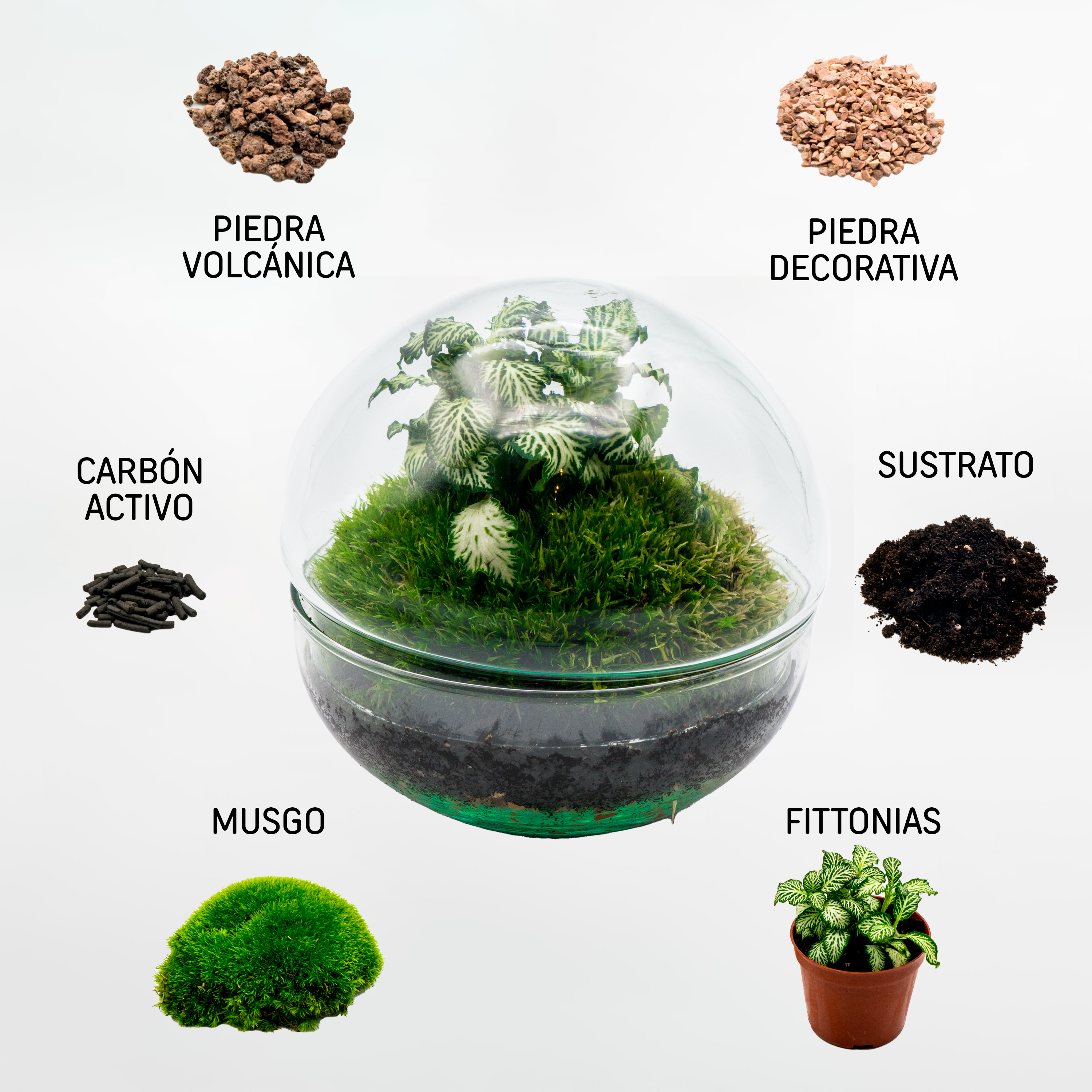 Kit Créalo Tú Mismo Jardín Eterno Nevada