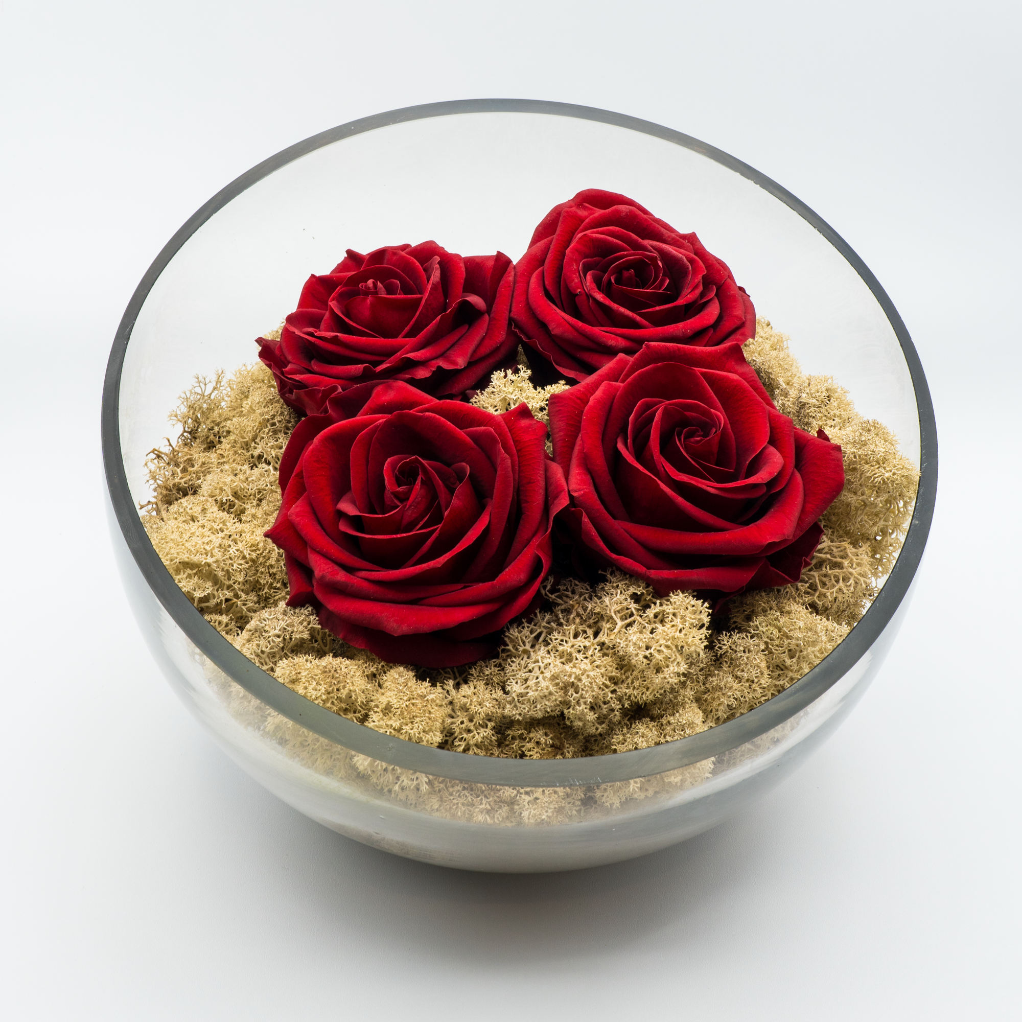 Rosa Eterna Grandeza