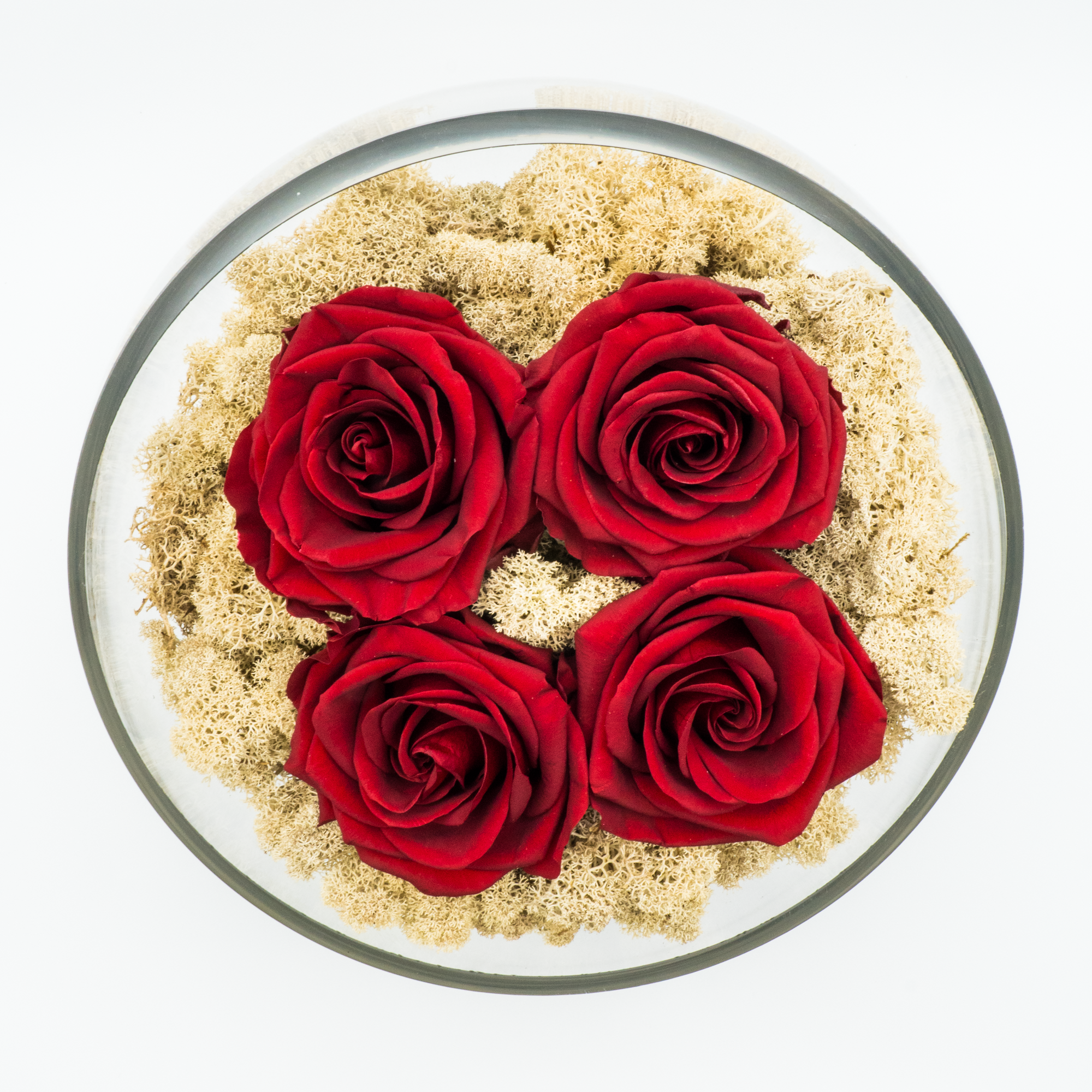 Rosa Eterna Grandeza